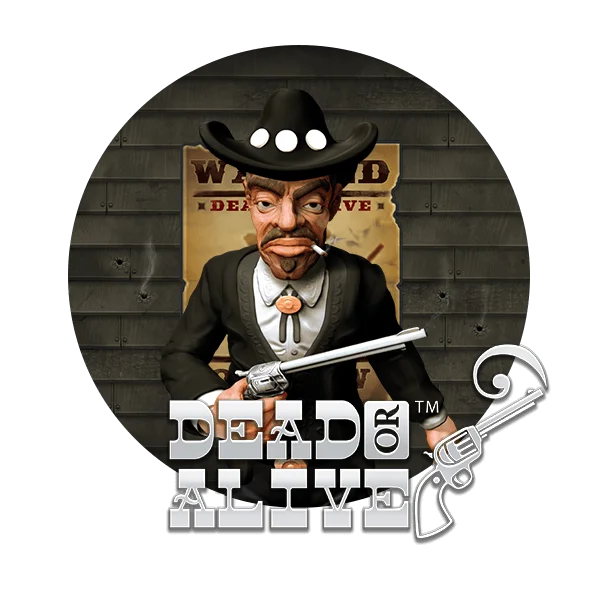Dead or Alive 2 slot at Rocketriches Casino